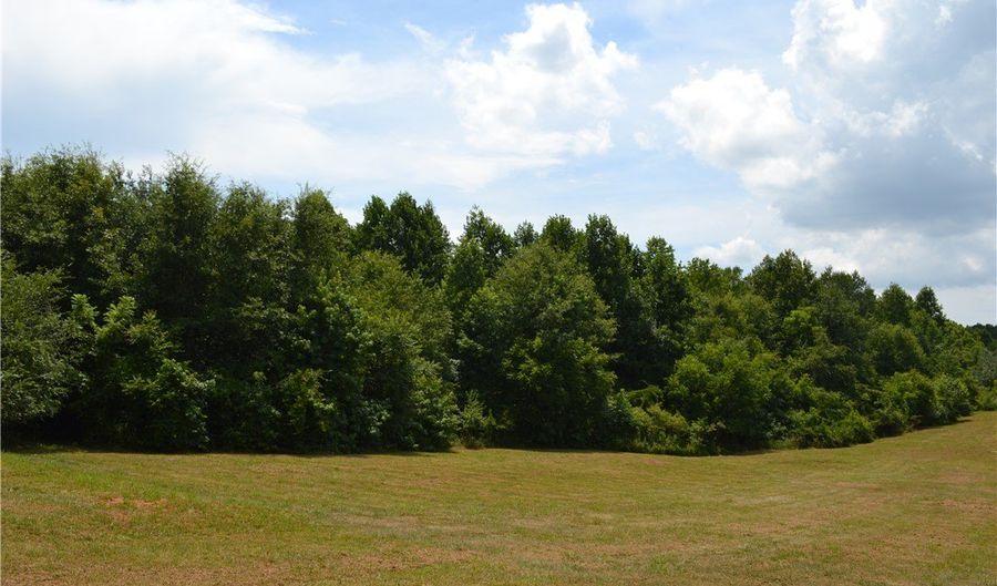 1109 Mill St, Belton, SC 29627 - 0 Beds, 0 Bath