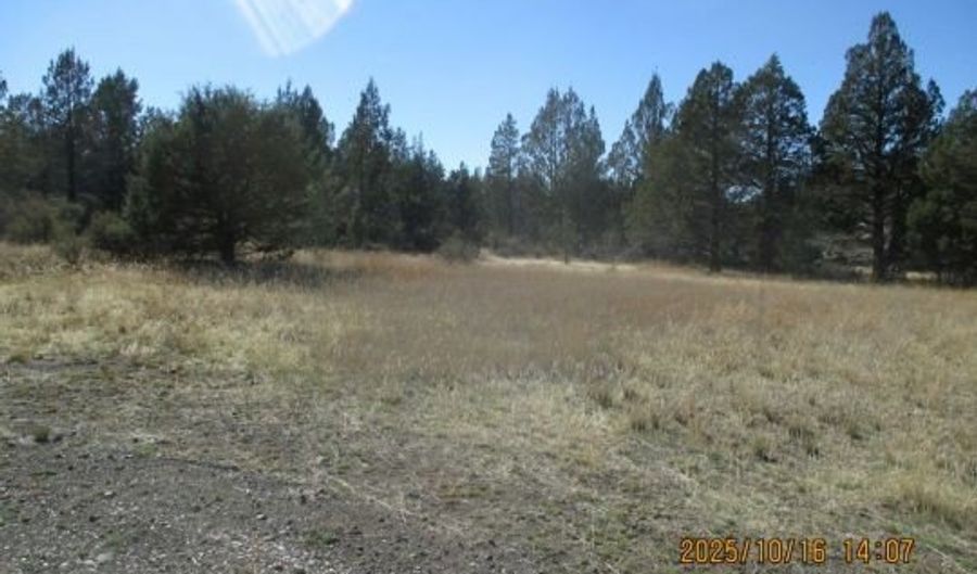 Couch Creek Road, Alturas, CA 96101 - 0 Beds, 0 Bath