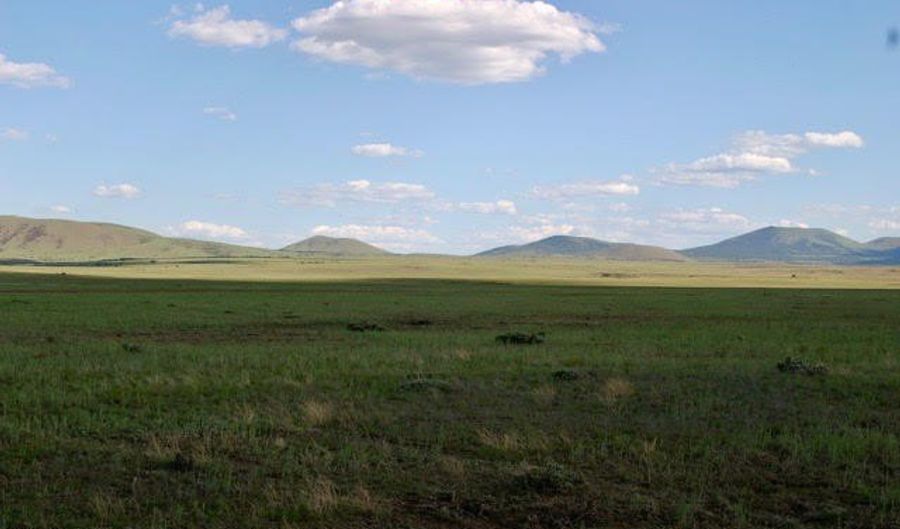 Lot 55 Concho Lakeland, Concho, AZ 85924 - 0 Beds, 0 Bath