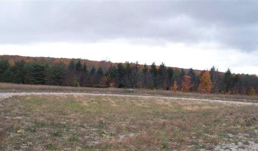 8195 Bluebird Lot 15, Alanson, MI 49706 - 0 Beds, 0 Bath