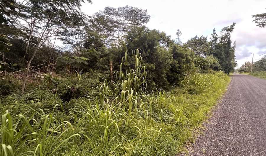 RAILRD RD, Keaau, HI 96749 - 0 Beds, 0 Bath