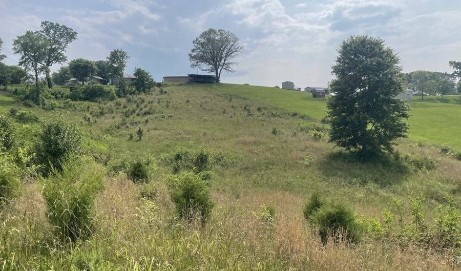 Tract 17A Billy Herold Johnson Subdivision, Albany, KY 42602 - 0 Beds, 0 Bath