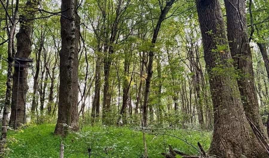 Conover Ln, Atkins, VA 24311 - 0 Beds, 0 Bath