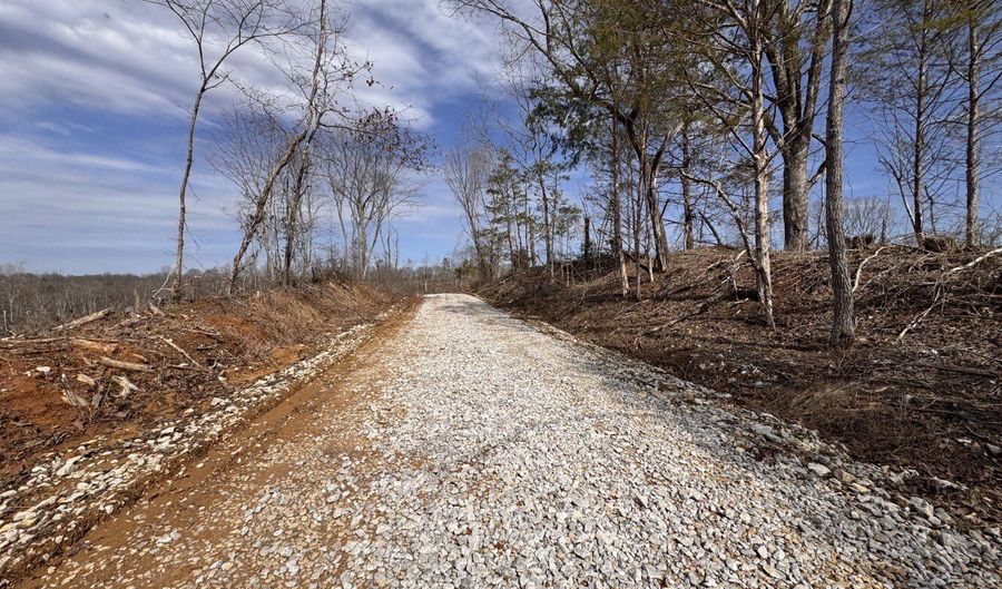 0 County Road 217 Lot 1, Blue Springs, MS 38828 - 0 Beds, 0 Bath