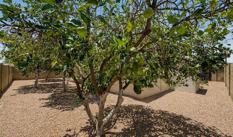 463 S OLMO Cir, Apache Junction, AZ 85120 - 3 Beds, 2 Bath