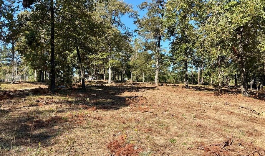 475 Co Rd 411, Abbeville, AL 36854 - 4 Beds, 5 Bath