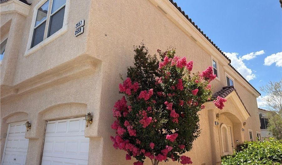 2559 Velez Valley Way, Henderson, NV 89002 - 2 Beds, 2 Bath
