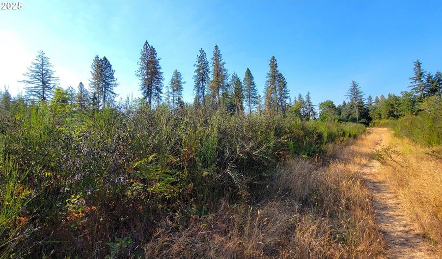E Hunter RD 602E, Veneta, OR 97487 - 0 Beds, 0 Bath