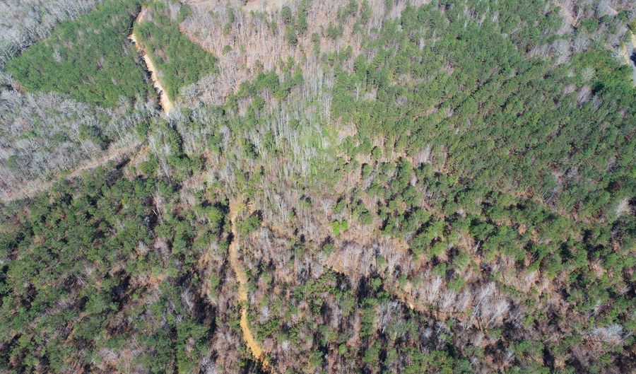 0 Adams Road - Lots 1 & 2 Lots, Bankston, AL 35542 - 0 Beds, 0 Bath