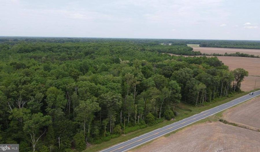Lot 12 Cedar Grove Church Road, Felton, DE 19943 - 0 Beds, 0 Bath