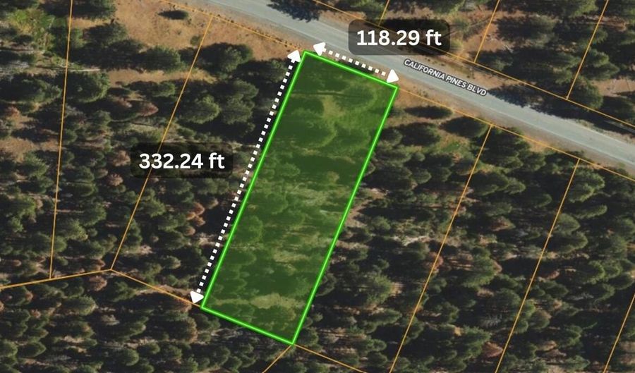 California Pines Boulevard, Alturas, CA 96101 - 0 Beds, 0 Bath