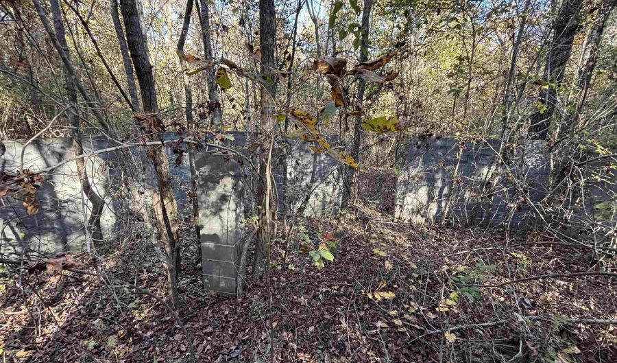 0 WALDROP Rd 10.82 Acres, Ashville, AL 35953 - 0 Beds, 0 Bath