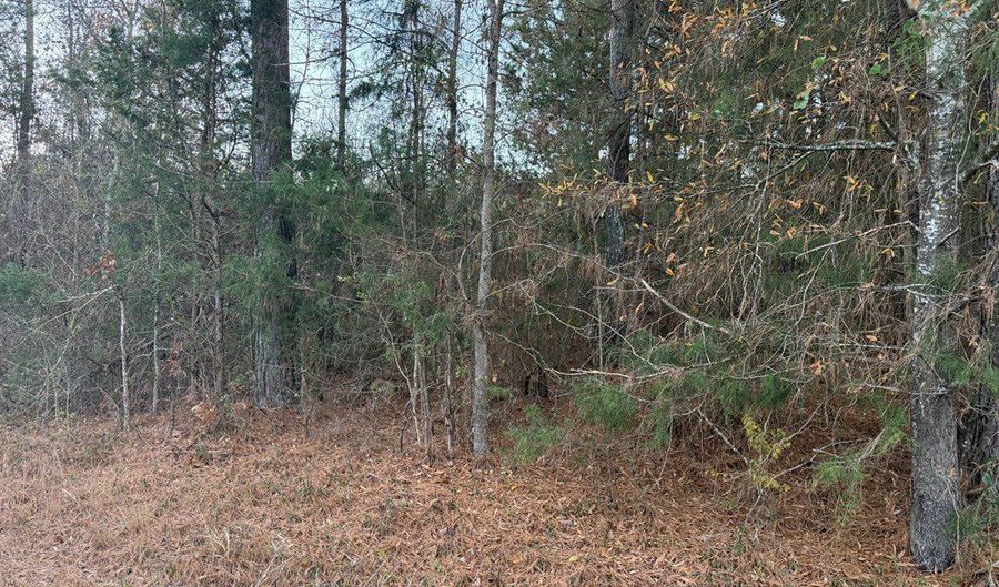 9 21 Acres Lee St And Elberton St, Calhoun Falls, SC 29628 - 0 Beds, 0 Bath