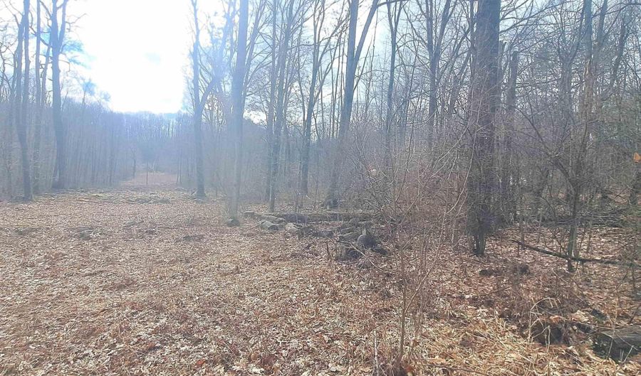 Glade Run Road, Albright, WV 26519 - 0 Beds, 0 Bath