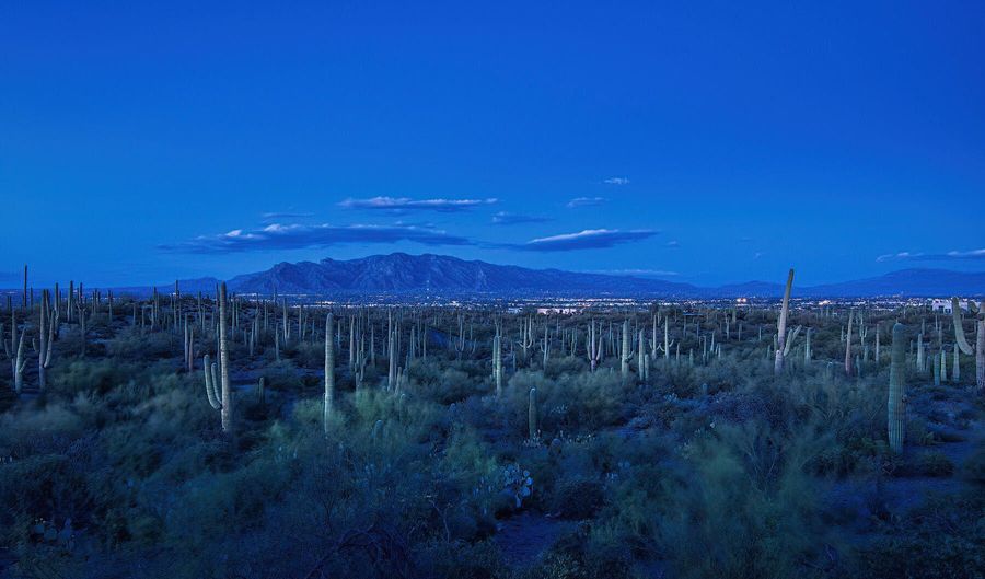 5088 W Rhyolite Loop, Tucson, AZ 85745 - 3 Beds, 3 Bath