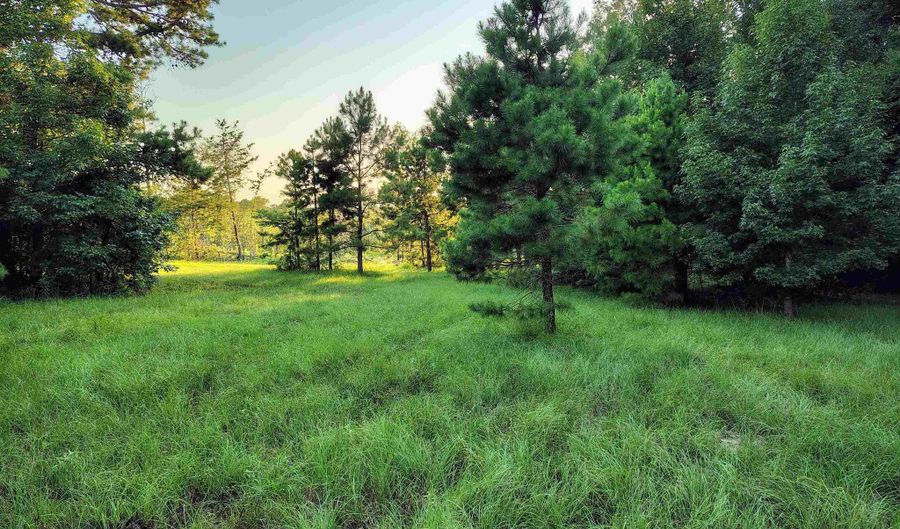 9751 Ocelot, Gilmer, TX 75644 - 0 Beds, 0 Bath