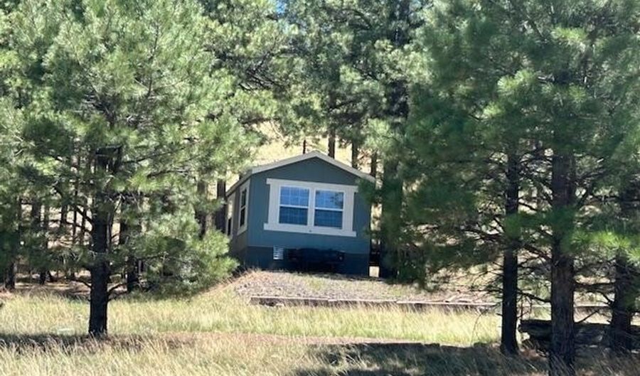 450 County Road 2104, Alpine, AZ 85920 - 1 Beds, 1 Bath