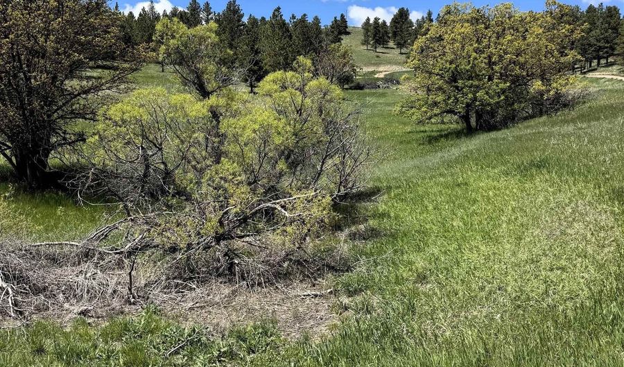 11 Tower Ridge Dr, Devils Tower, WY 82714 - 1 Beds, 0 Bath