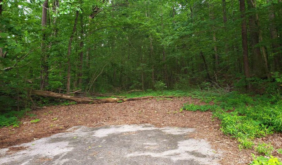 4100 ABBEY ROAD Lot 26-50, Adamsville, AL 35005 - 0 Beds, 0 Bath