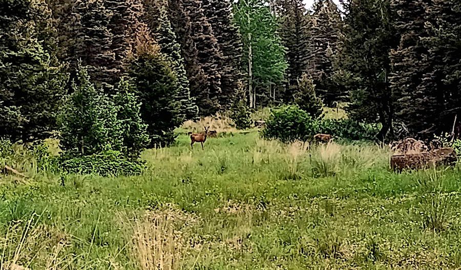 Lot 1220 Rainbow Overlook, Angel Fire, NM 87710 - 0 Beds, 0 Bath