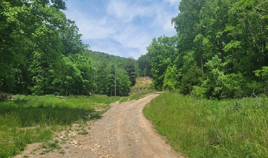 Tbd Middle Fork Road, Chilhowie, VA 24319 - 0 Beds, 0 Bath