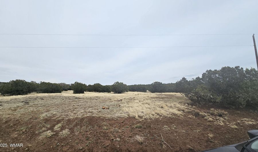 Tbd CR 8065, Concho, AZ 85924 - 0 Beds, 0 Bath