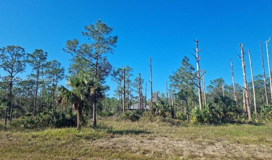 2309 Wellington Ave, Alva, FL 33920 - 0 Beds, 0 Bath