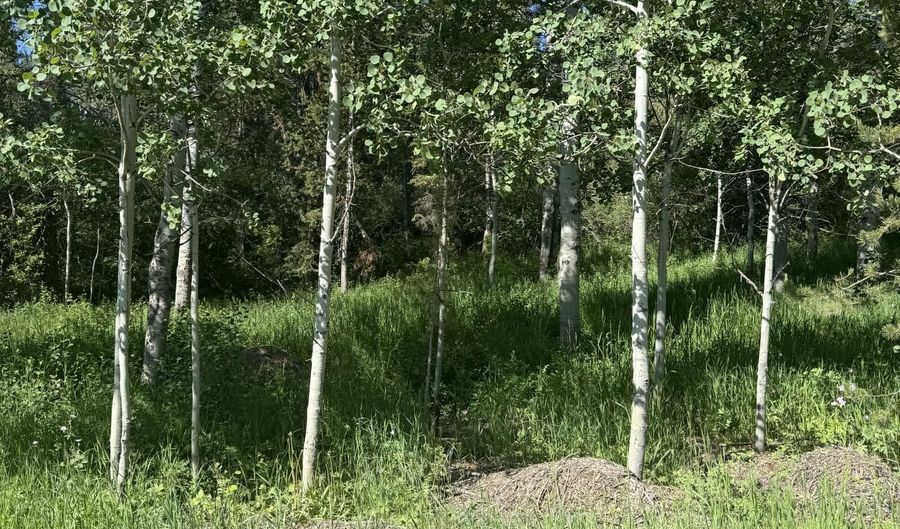 L22 CARIBOU FOREST DRIVE, Alpine, WY 83128 - 0 Beds, 0 Bath