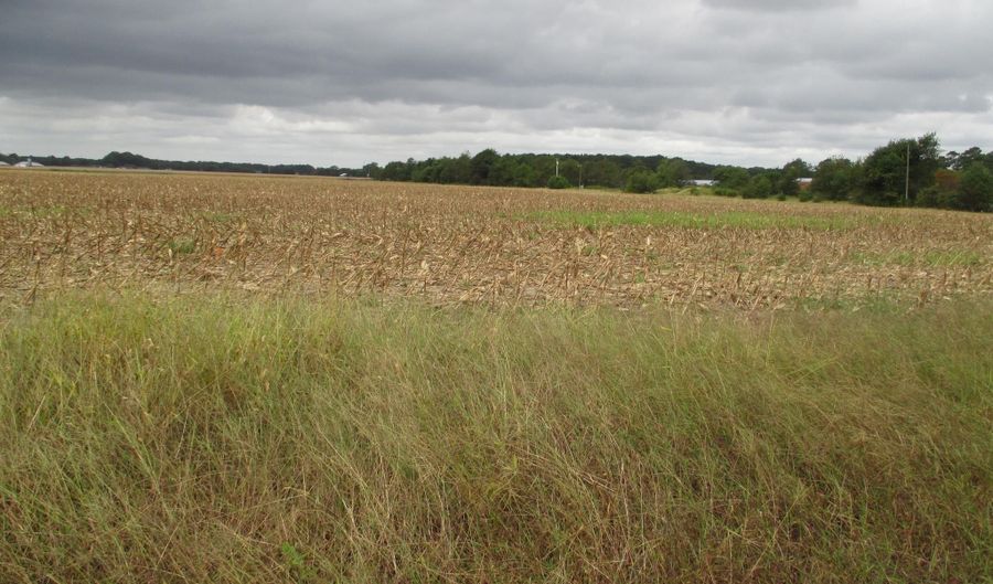 GRAY ROAD lot 6, Dagsboro, DE 19939 - 0 Beds, 0 Bath