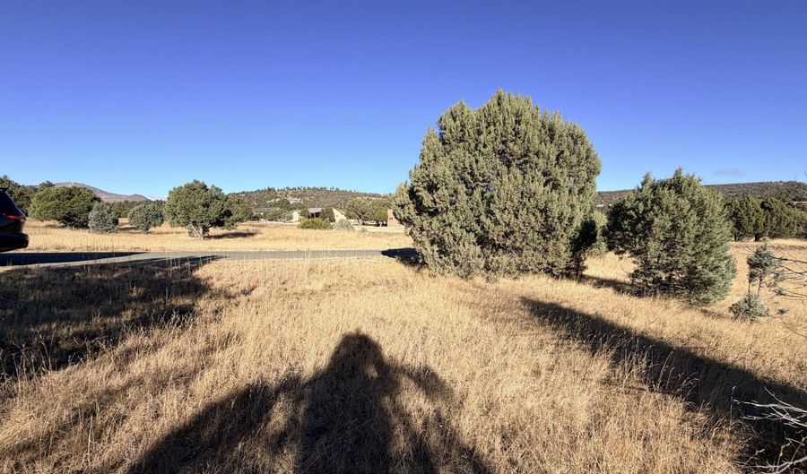 270 A Saddleback Rd Lot 270A, Alto, NM 88312 - 0 Beds, 0 Bath