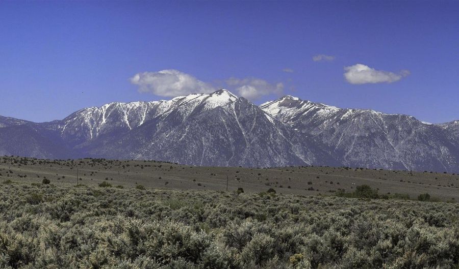 Homestead, Gardnerville, NV 89410 - 0 Beds, 0 Bath