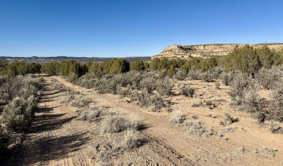 ROAD 4440, Blanco, NM 87412 - 0 Beds, 0 Bath