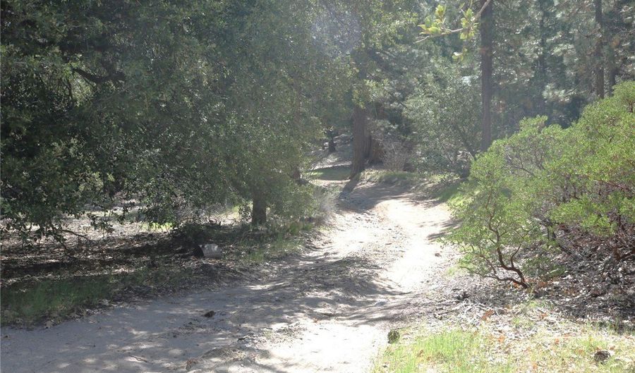 30 Seven Oaks Rd 30, Angelus Oaks, CA 92305 - 1 Beds, 1 Bath