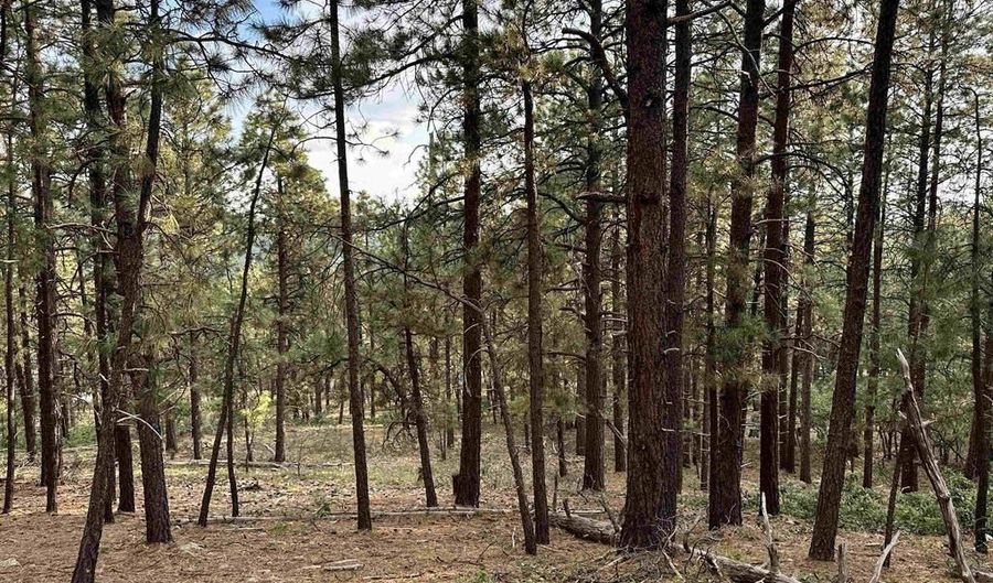 259 Hillside Cir, Bayfield, CO 81122 - 0 Beds, 0 Bath