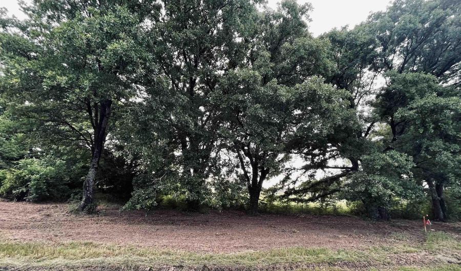 LOT 6 CR 1560, Alba, TX 75410 - 0 Beds, 0 Bath