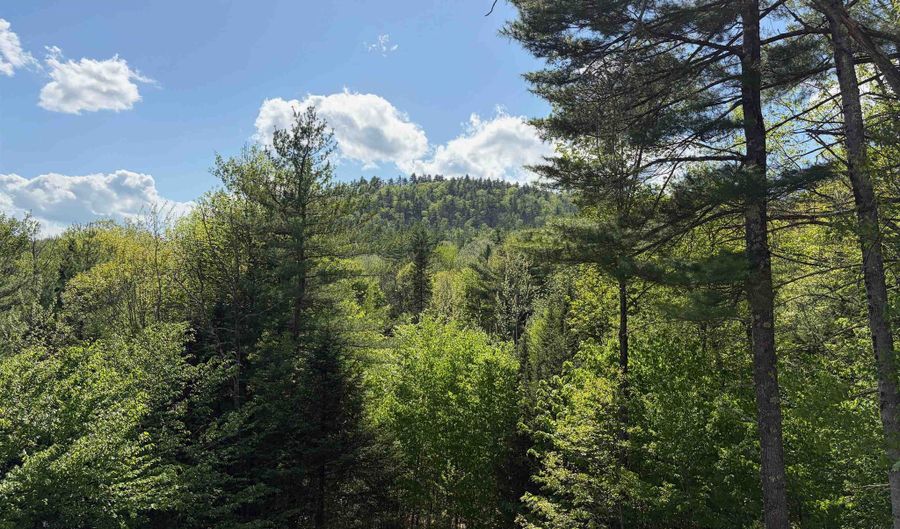 83 Tabor Cir, Albany, NH 03818 - 3 Beds, 2 Bath