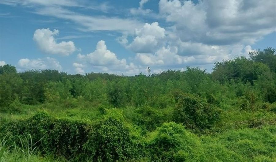 1085 Deen Point Rd, Benton, LA 71006 - 0 Beds, 0 Bath