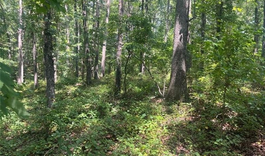 6 Acres Henry Scott, Ball Ground, GA 30107 - 0 Beds, 0 Bath