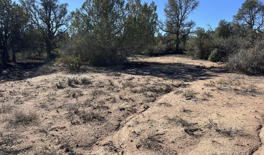 Home Stretch Road, Chino Valley, AZ 86323 - 0 Beds, 0 Bath