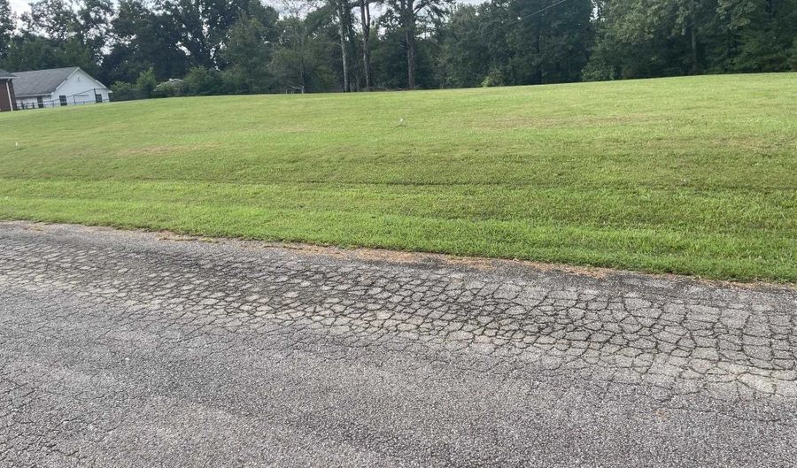 CANEY BRANCH Rd lot 34, Adamsville, TN 38310 - 0 Beds, 0 Bath
