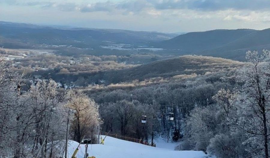 200 State Rt 94 307, Alloway, NJ 07462 - 1 Beds, 1 Bath