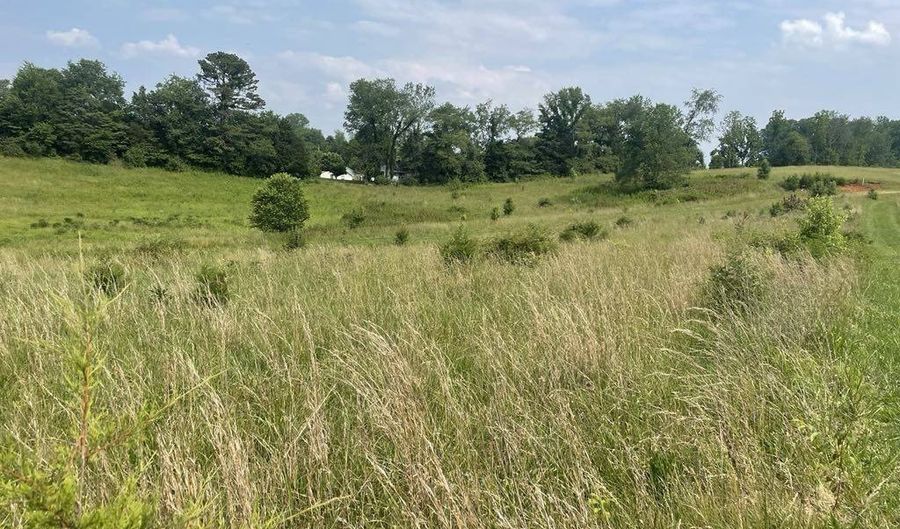 Tracts 19 & 20 Billy Herold Johnson Subdivision, Albany, KY 42602 - 0 Beds, 0 Bath