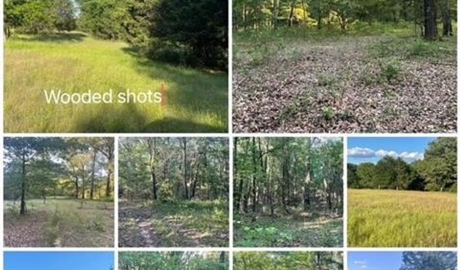 01 N Dozier Rd, Antlers, OK 74523 - 0 Beds, 0 Bath