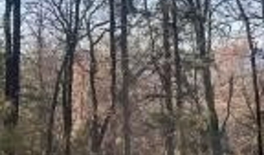 00000 Crow Mountain Dr, Atkins, AR 72823 - 0 Beds, 0 Bath