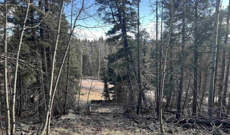 1116 El Camino Real, Angel Fire, NM 87710 - 0 Beds, 0 Bath