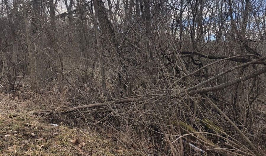 49 Curtis St, Athens, OH 45701 - 0 Beds, 0 Bath