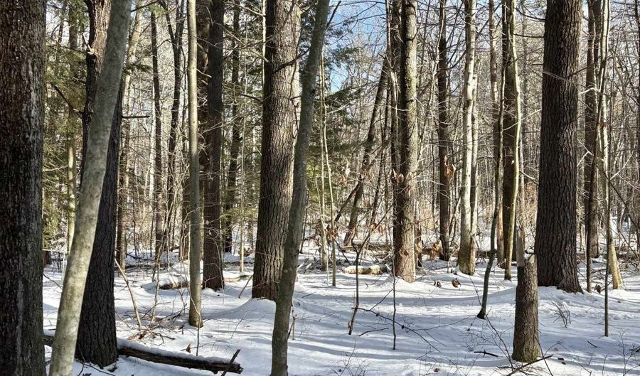 Lot 80-1 Currier Road, Candia, NH 03034 - 0 Beds, 0 Bath