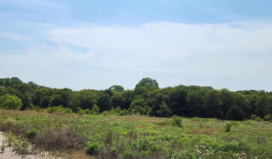 301 Timber Trl, Alvord, TX 76225 - 0 Beds, 0 Bath