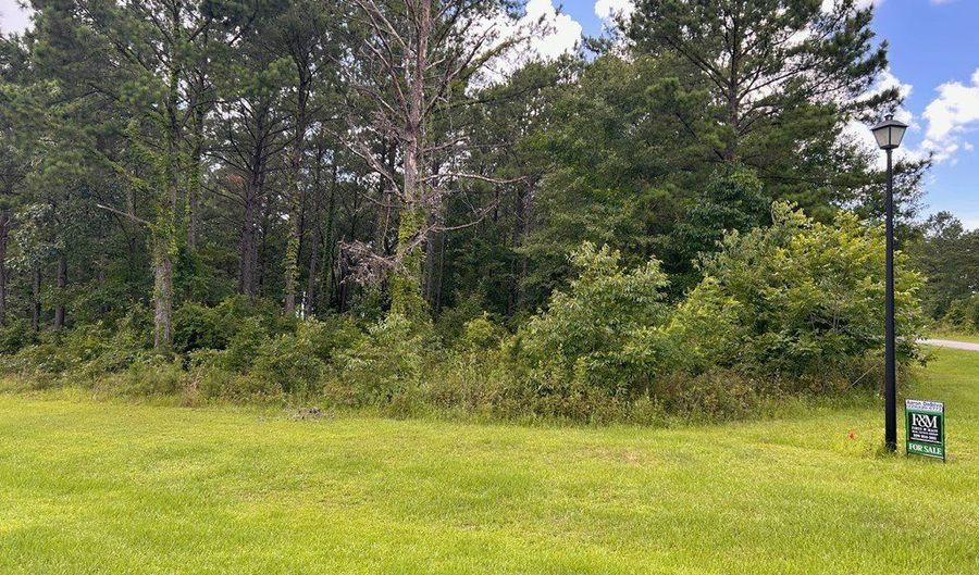 LOT 4 Seminole Ridge, Bainbridge, GA 39819 - 0 Beds, 0 Bath