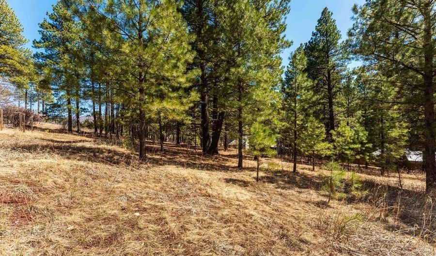 116 Pine Dr, Bayfield, CO 81122 - 0 Beds, 0 Bath